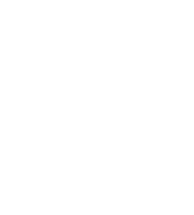 Terra